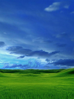 WinXP.jpg