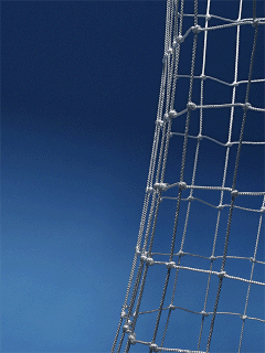 Sport animated.gif