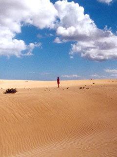 Beach.jpg