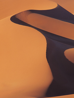 Desert.jpg