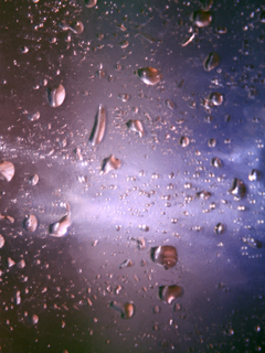 Drops.jpg