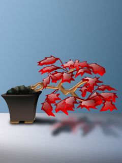Red.jpg