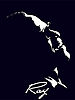 Ray_Charles.jpg