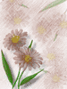 Flowers4_by_web750eb.png