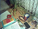 SXG75_Indoor_mit_Blitz.jpg