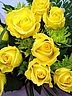 Yellow_Roses.jpg
