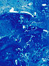 Waterdrops.jpg